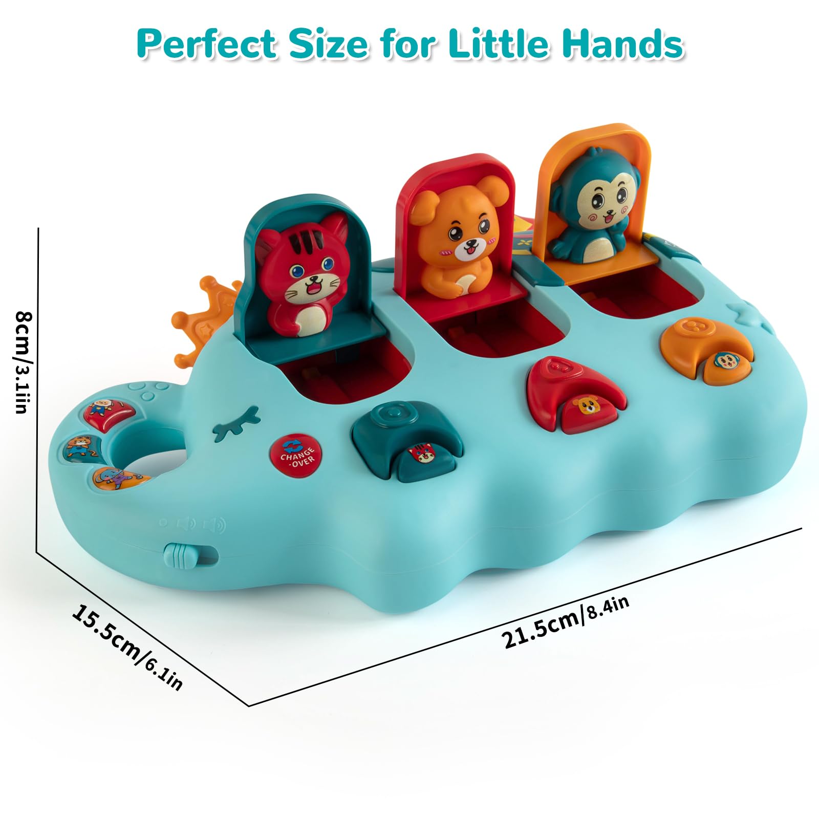 Musical Toy – Montessori Educational Gift for Toddlers 6-18 Months